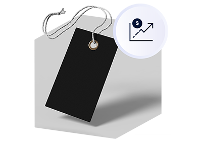 Pricing Optimization